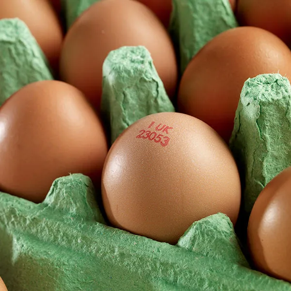 Industry-Food-Thumbnail-Eggs-Shell