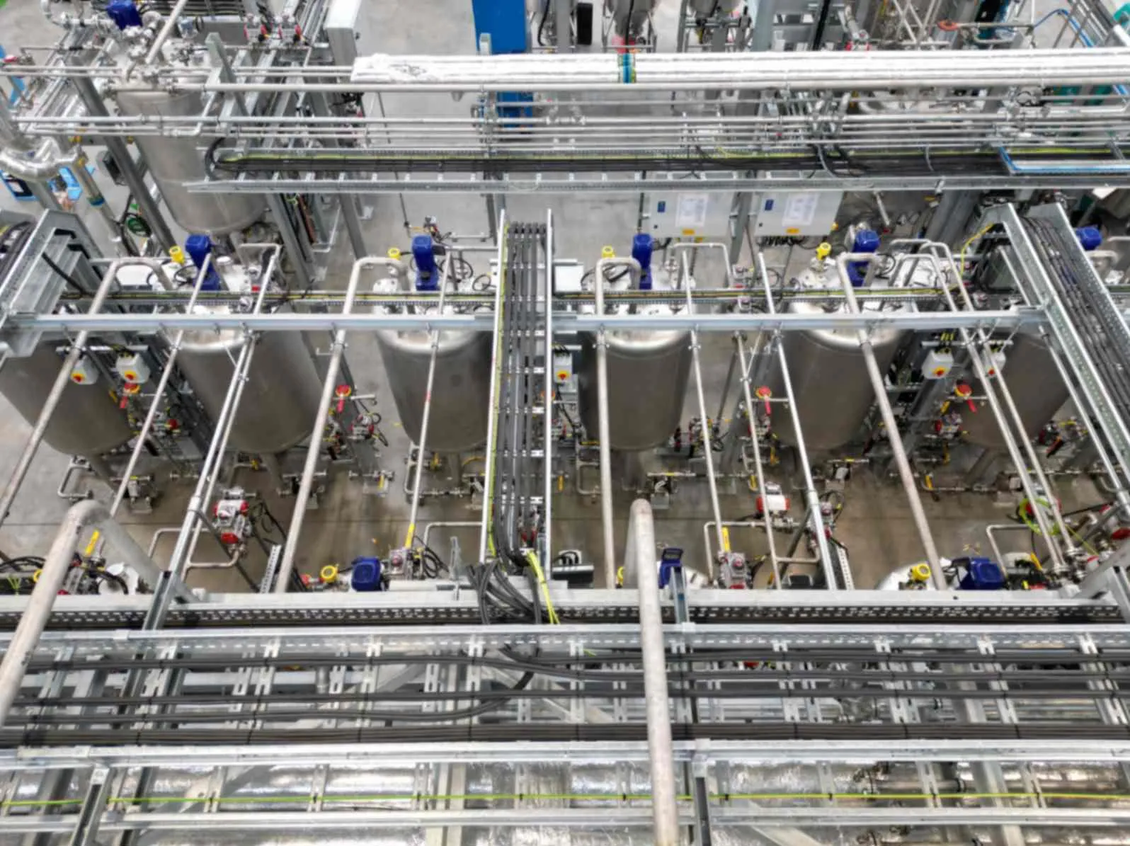 Liverpools inks plant (2)