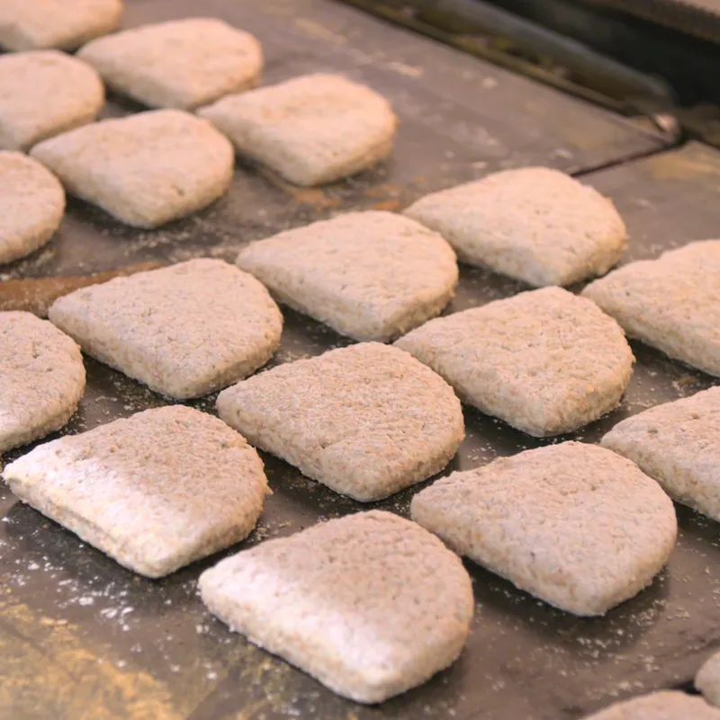 bakery Sourdough on a baking tray 