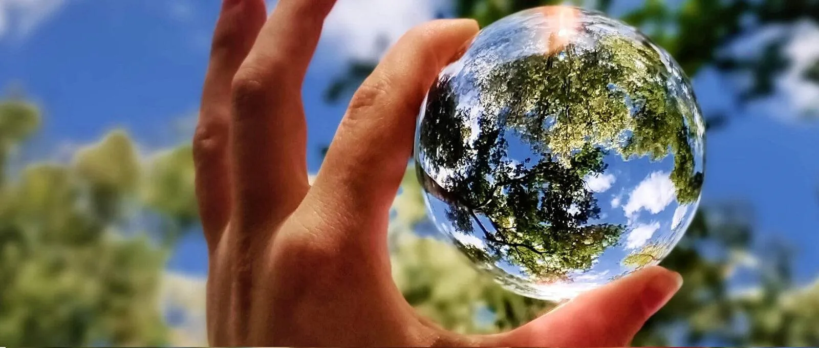 DP-Cost-Earth-Blog-Banner