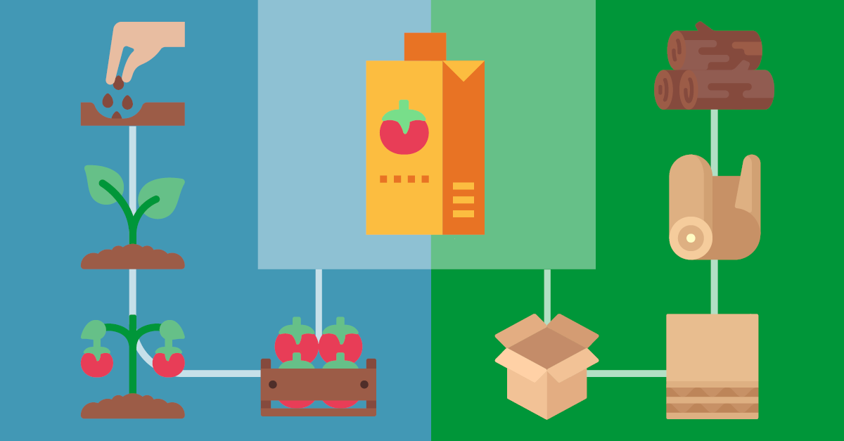 Domino x First-mile Traceability blog body copy