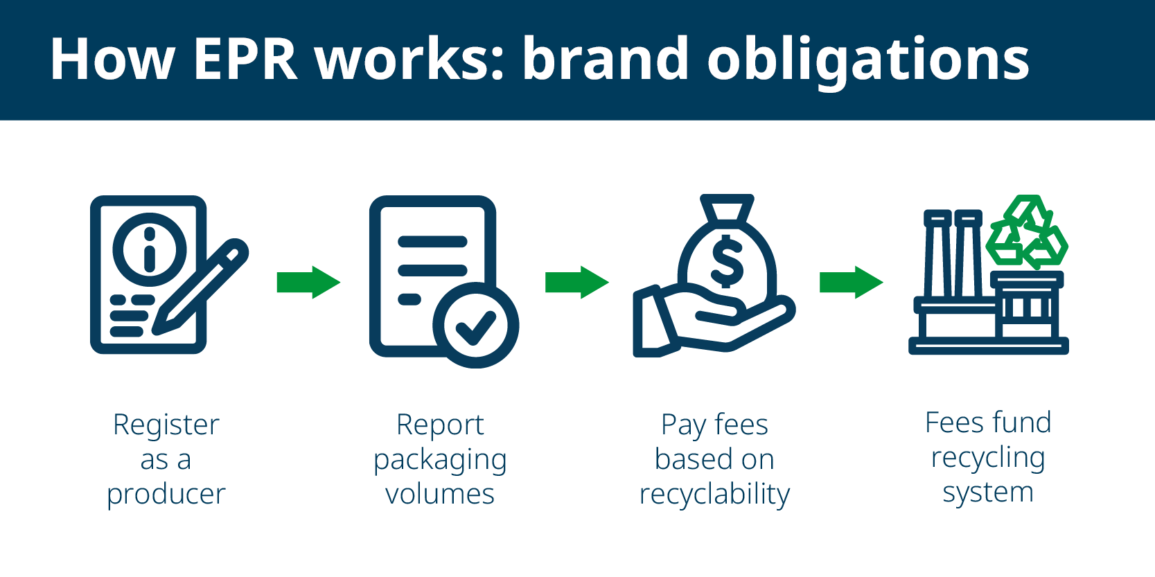 How Packaging EPR works: Registration, reporting, fees