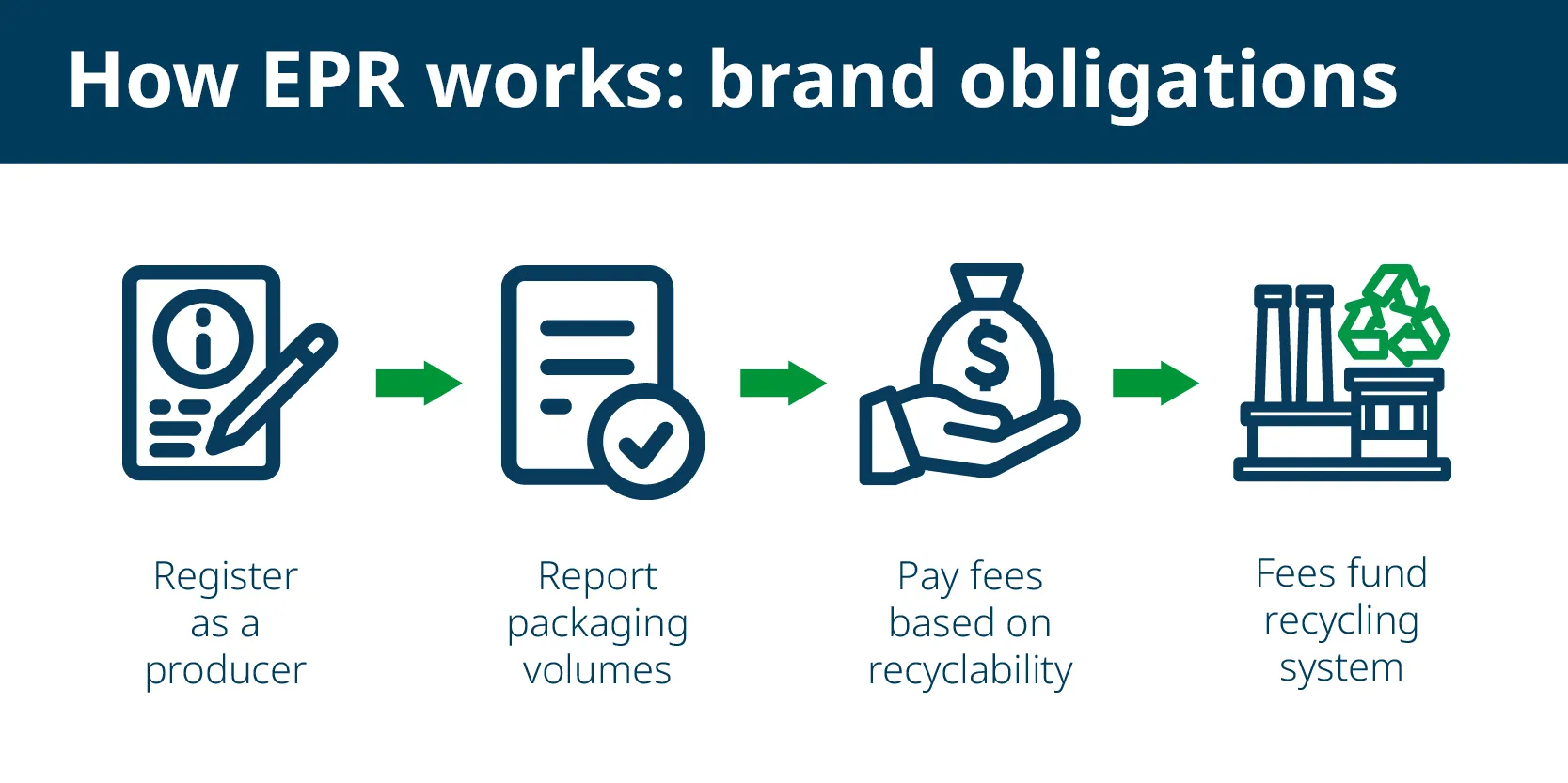 How Packaging EPR works: Registration, reporting, fees
