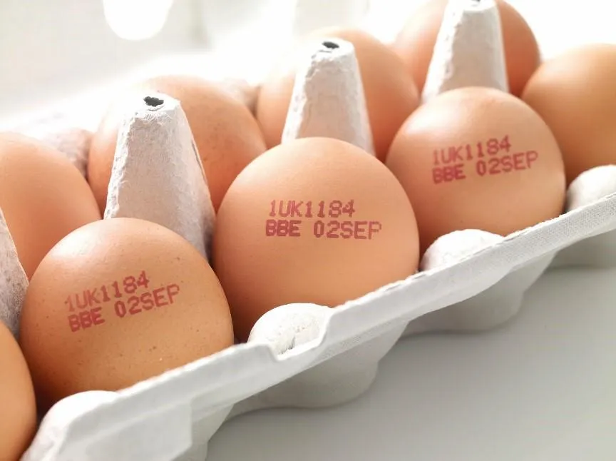CN-egg2