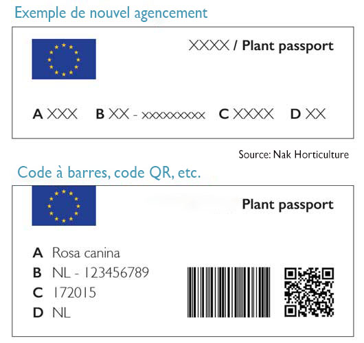 exemple de codage