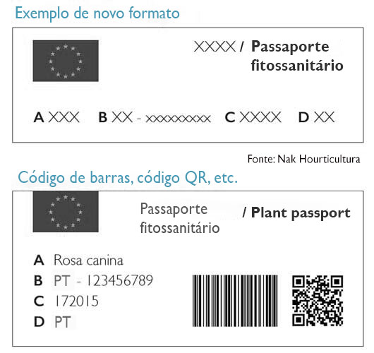 Exemplo de novo layout de passaporte da planta com código QR e código de barras pretos