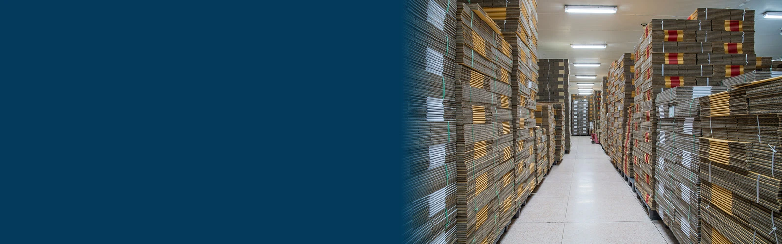 DP-X630i-Why-digital-for-corrugated-printing-blog-banner