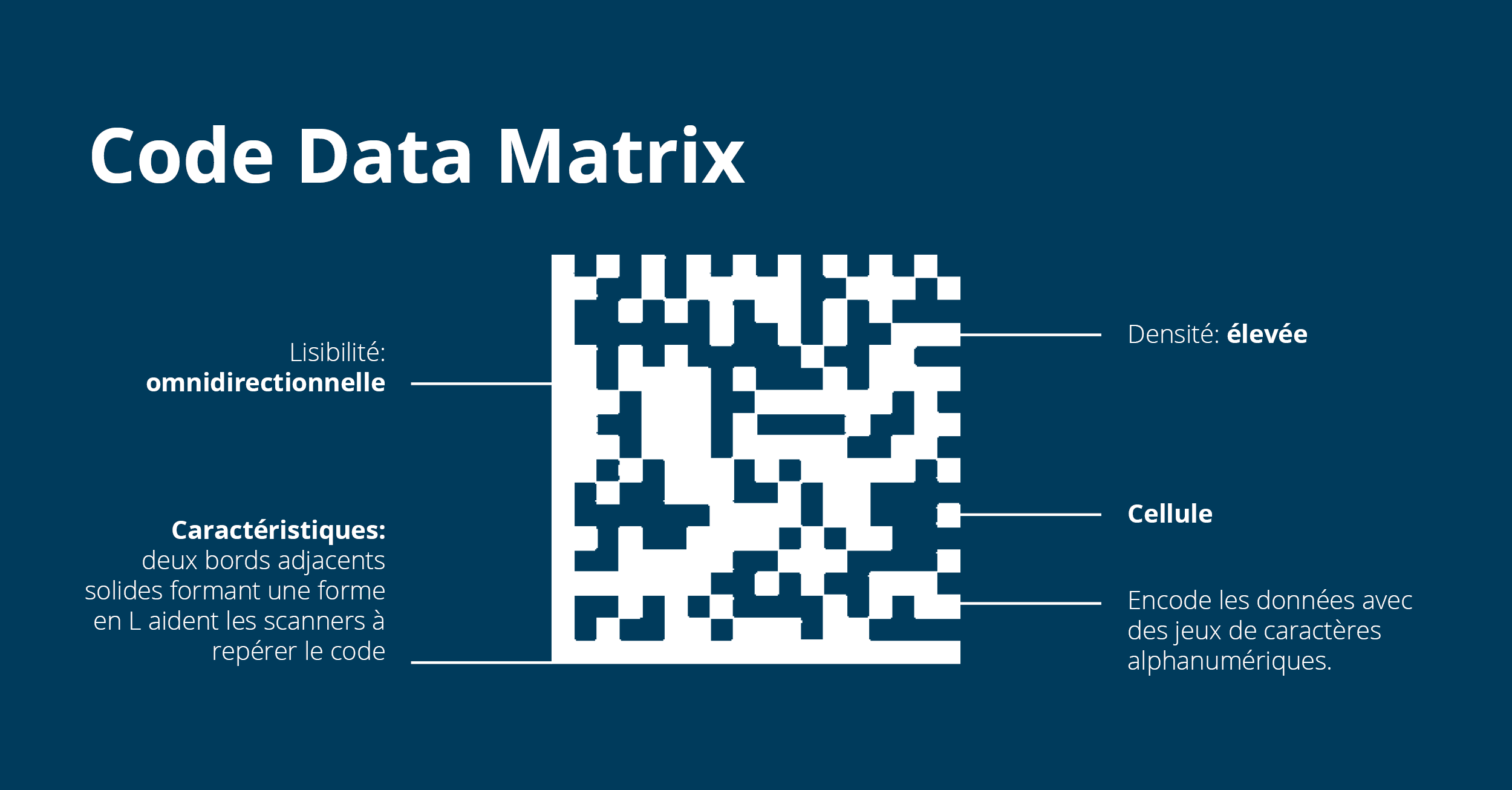 Code data matrix