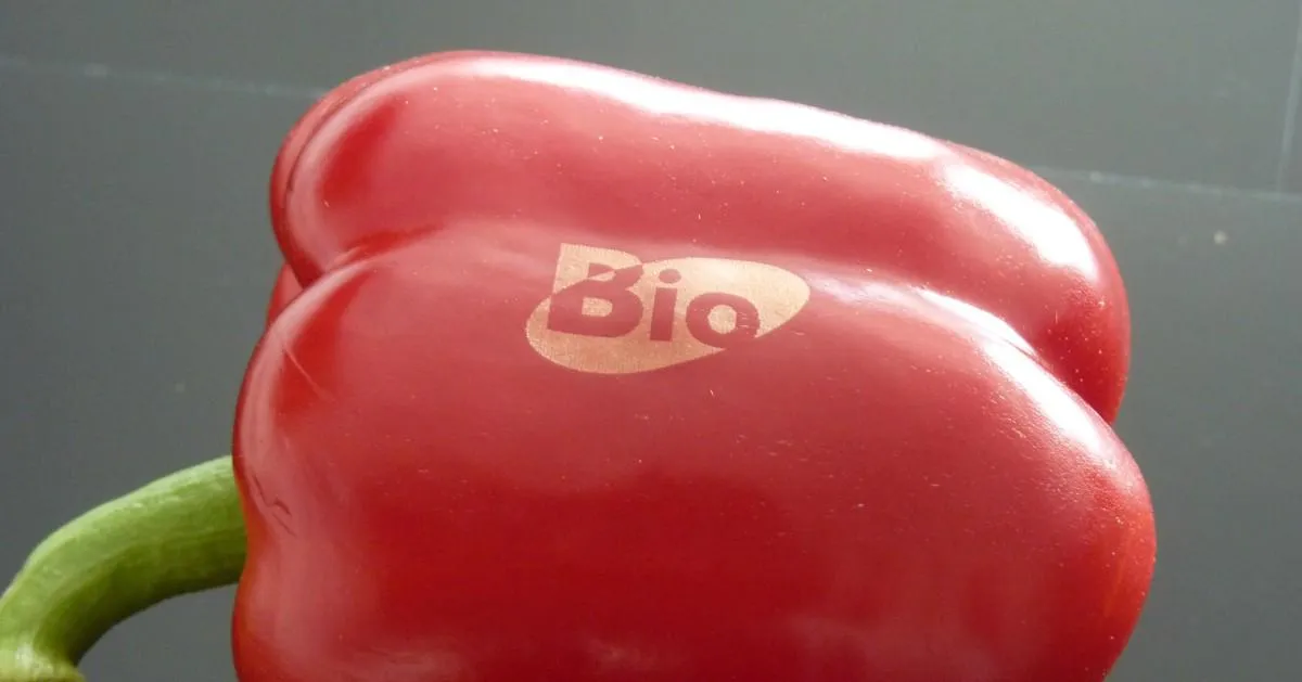 Red pepper showcases laser used for branding logo directly onto it