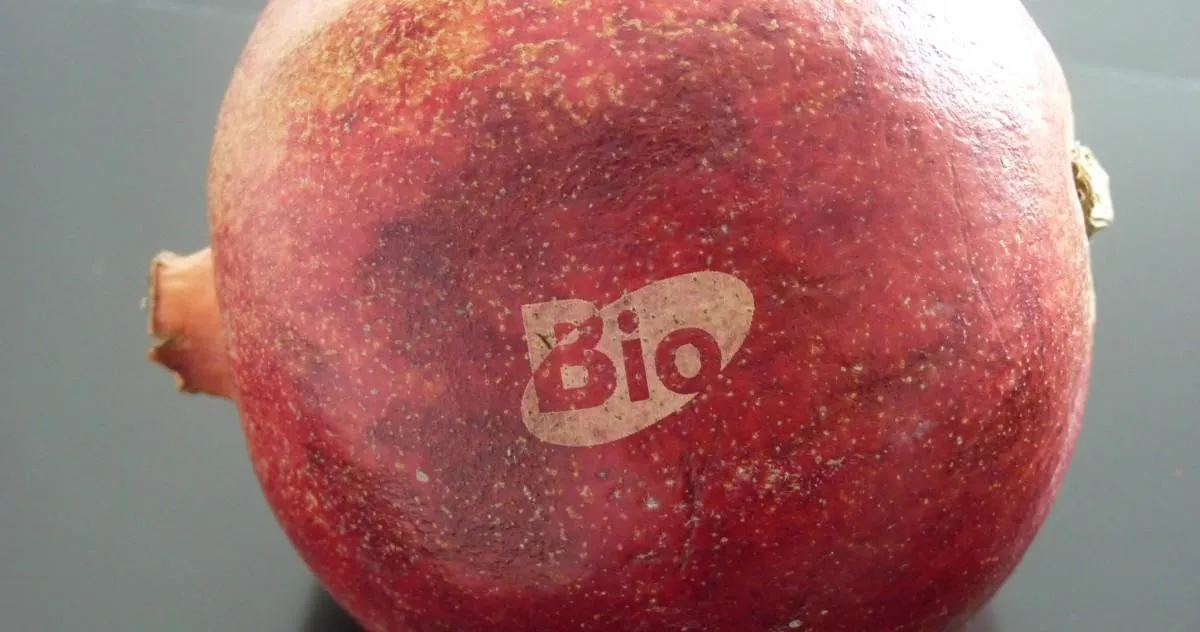 coding directly onto fruit and vegetables