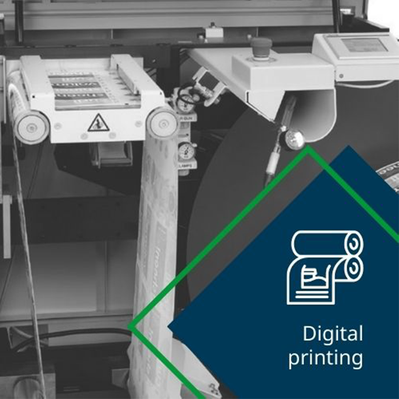 Domino-France-CNT-DP