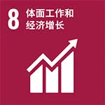 CN-SDG-Goal-8