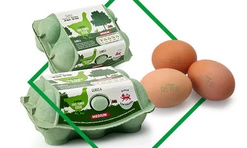 2025-DE-Branchenseite-Lebensmittel-Eierkartons+Schalen