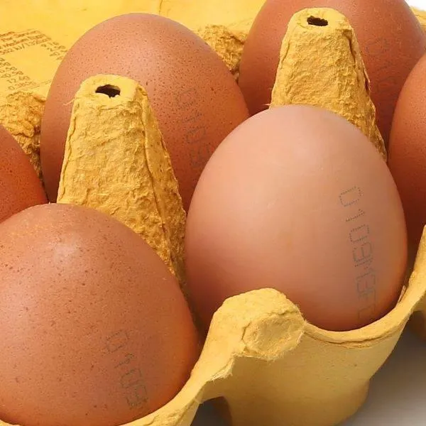 Printing on eggshells - Food | Domino Printing UK
