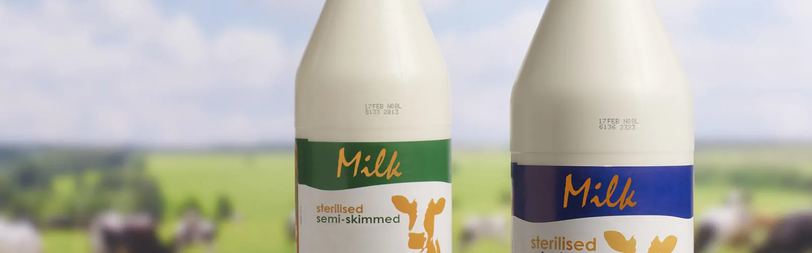 Industry-Food-Banner-Dairy-Bottle