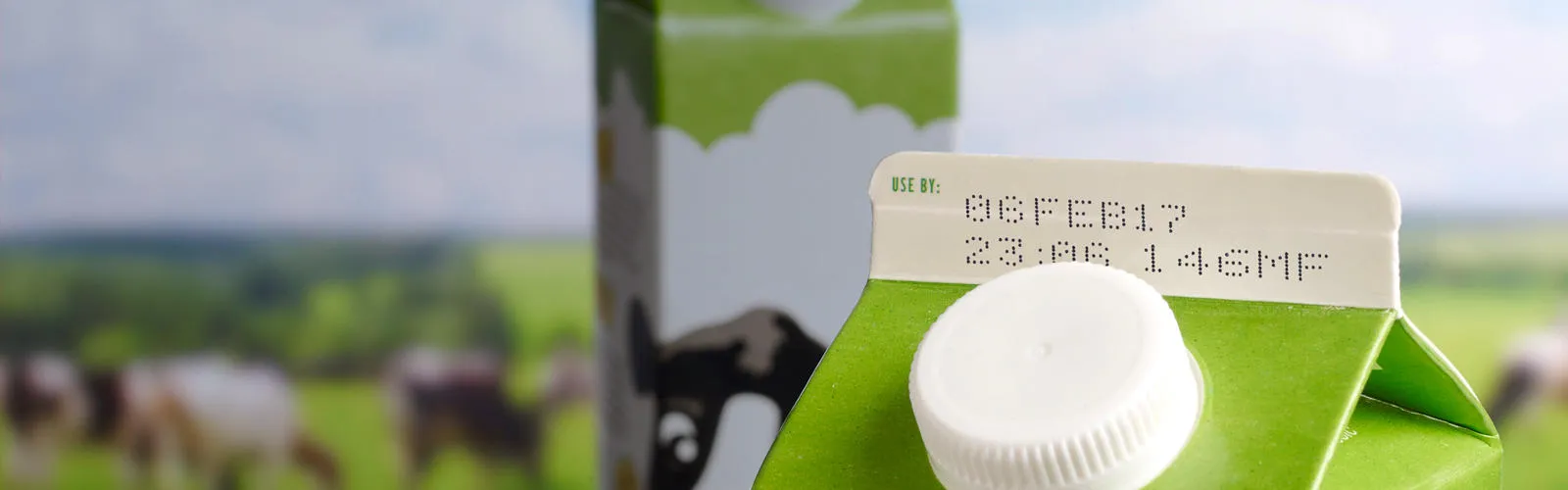 Industry Food Banner Dairy Carton date printed