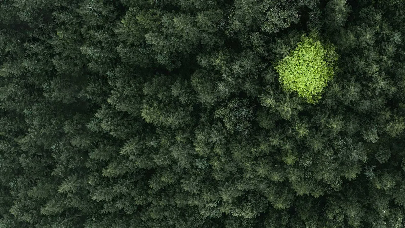 Greendeal-header