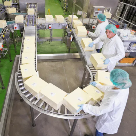 cheese-line-production-line