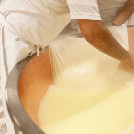 cheese-making