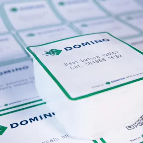 Dairy Coding Risks | 8 Common Production Challenges | Domino North America