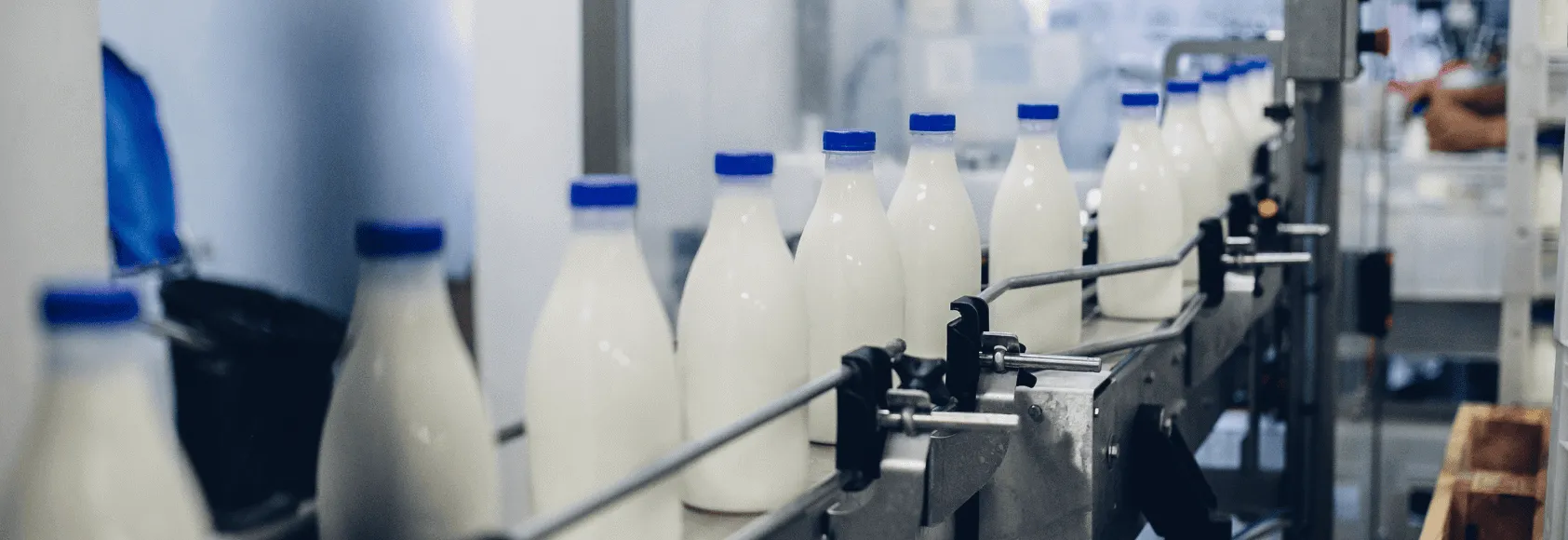 dairy-production-line