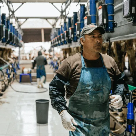 dairy-worker