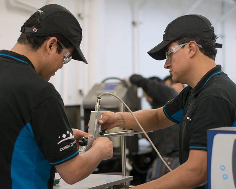 Domino service team
