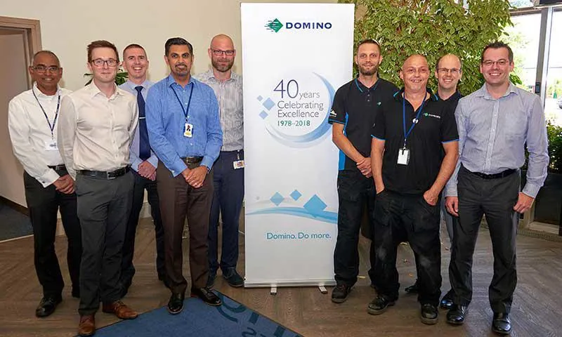 domino employees