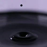 Ink-drop-black-dish-body