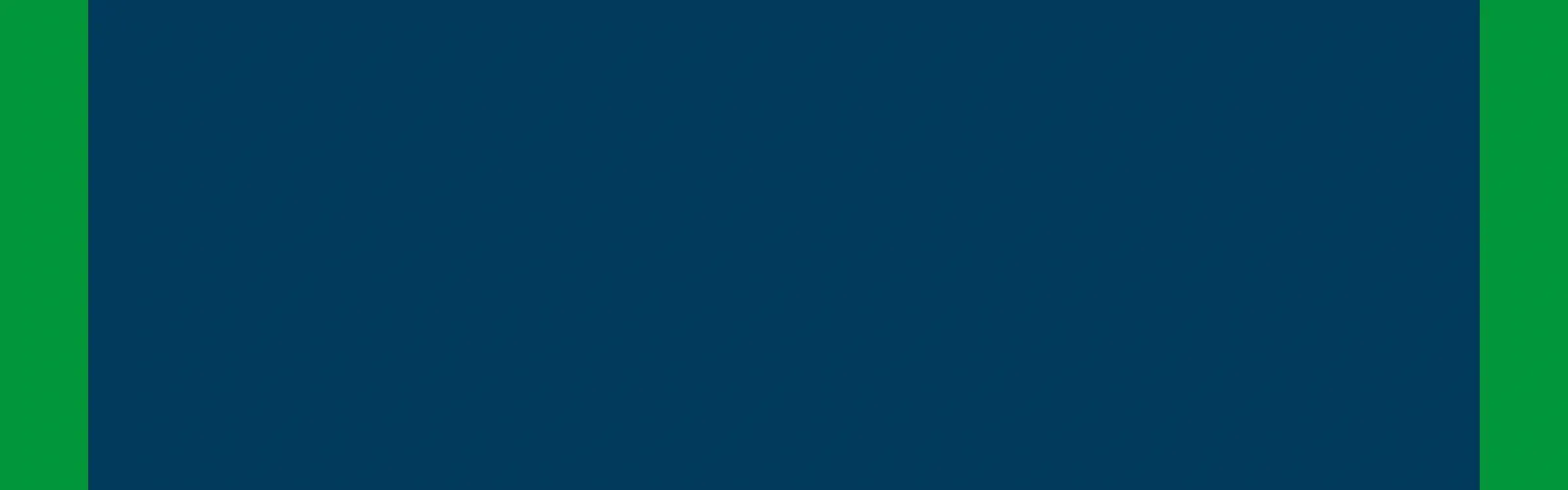 Video Supply Chain (1)