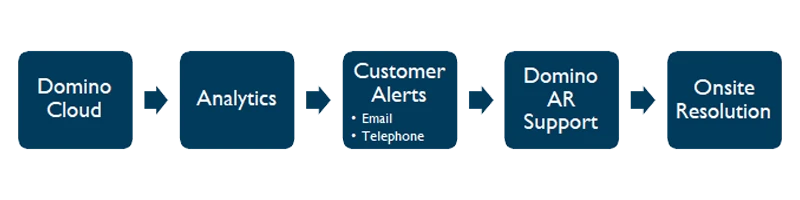 Domino provide proactive service support​